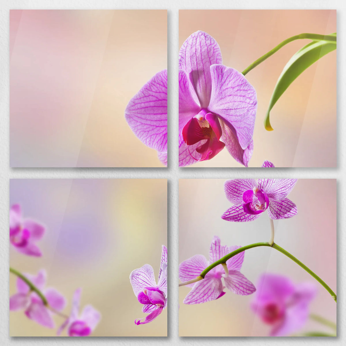 AC-100V100