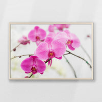 PN-093W062