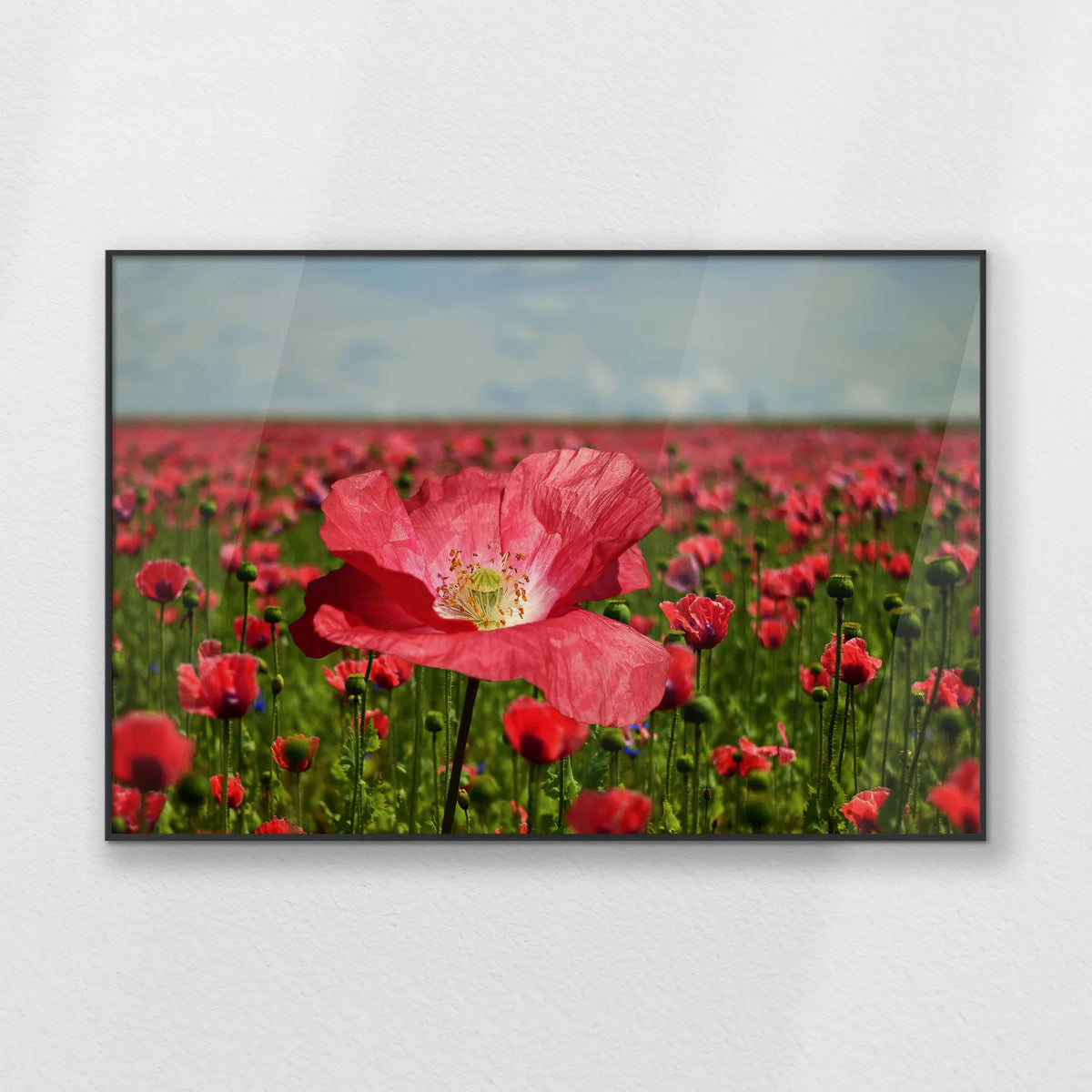 PB-100W070