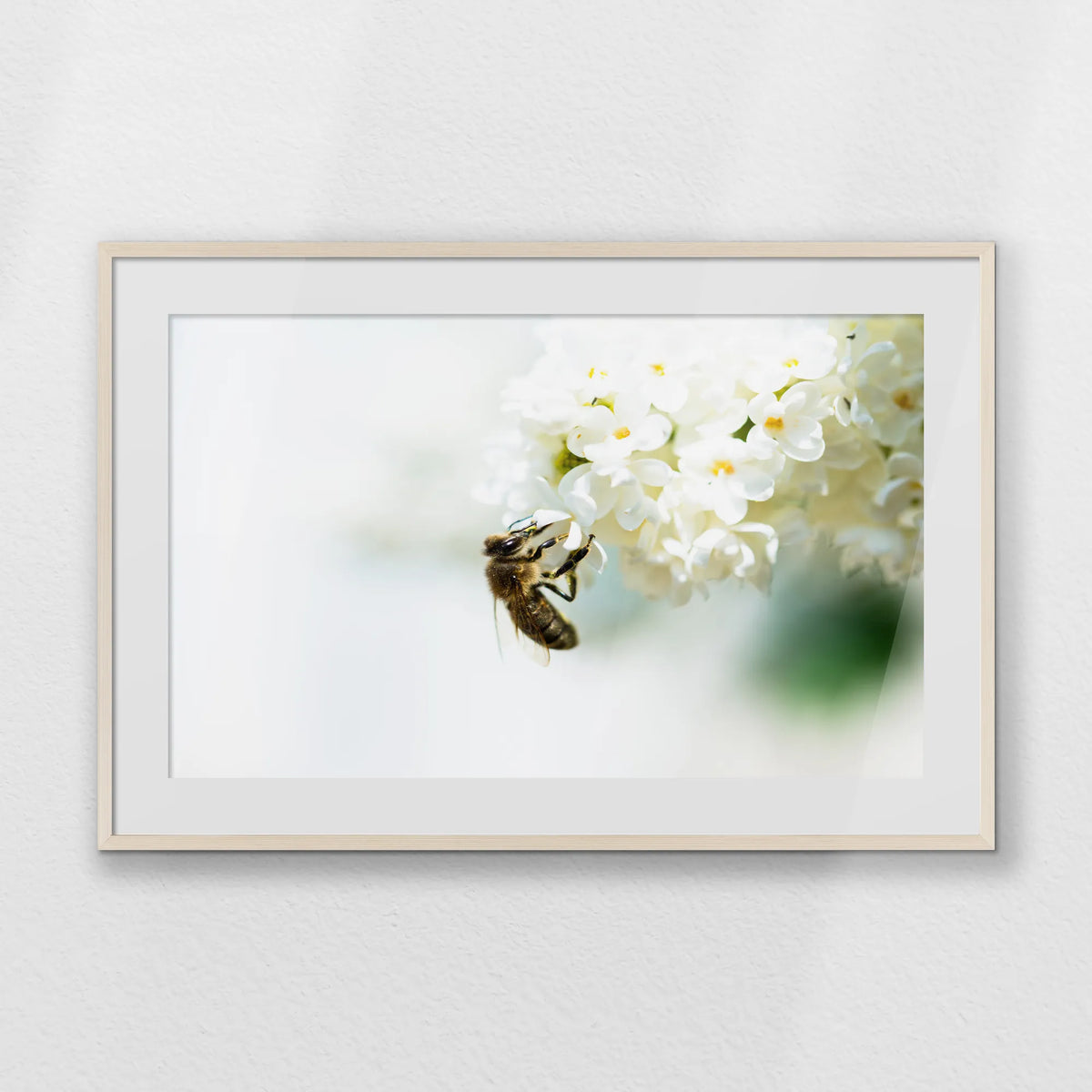 PNP100W070