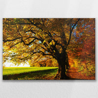 LW-090W060
