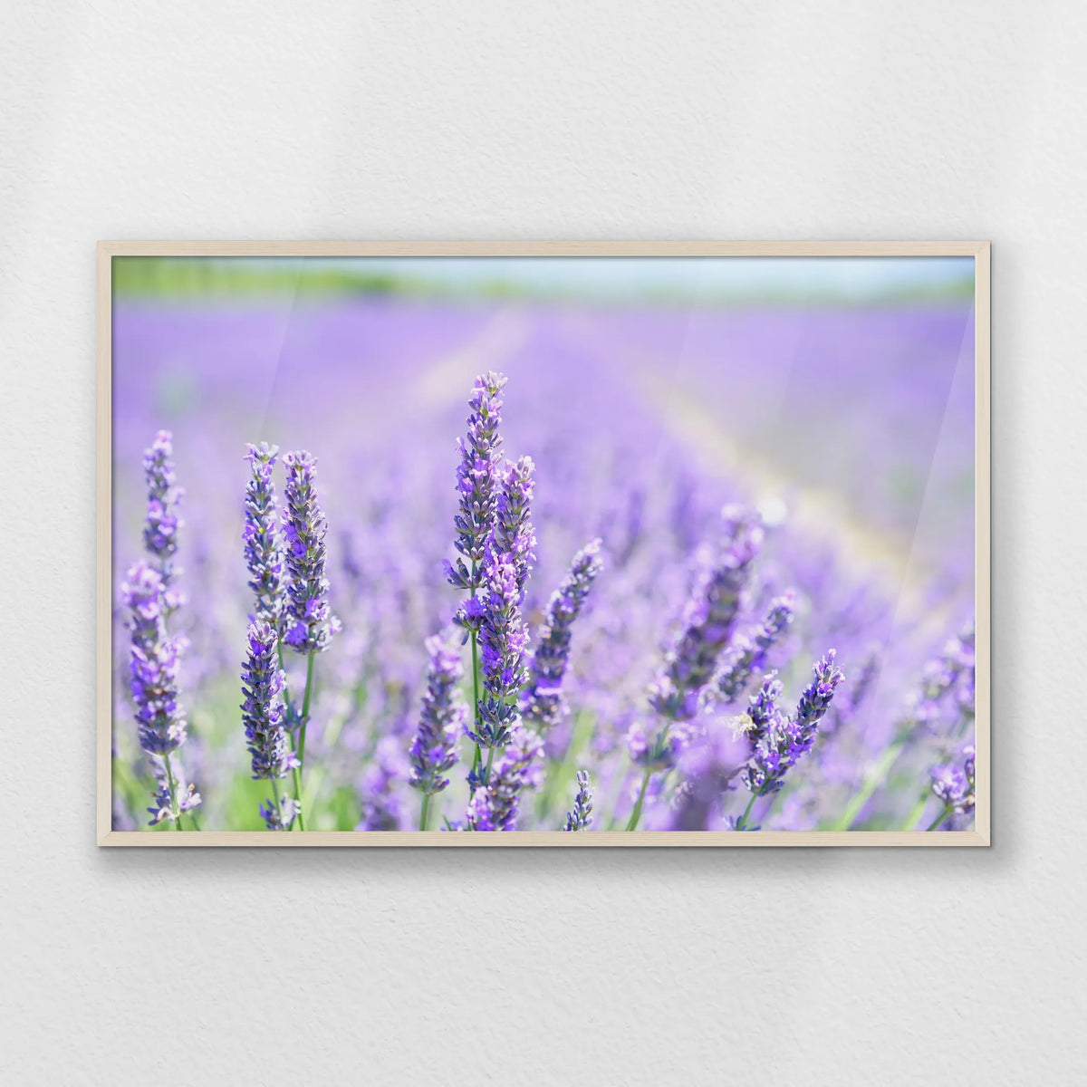 PN-100W070
