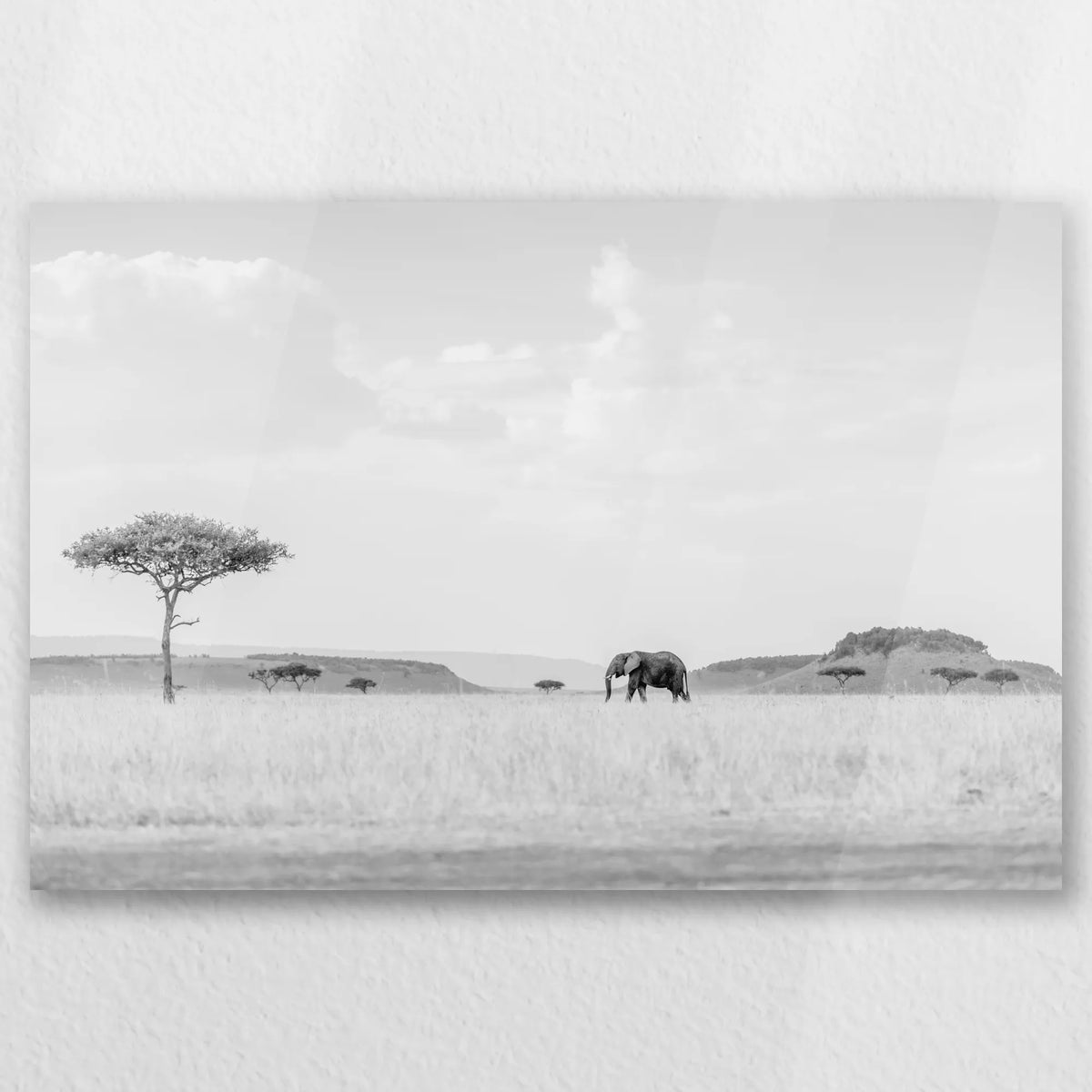 AC-030W020