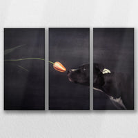 LW-060R040