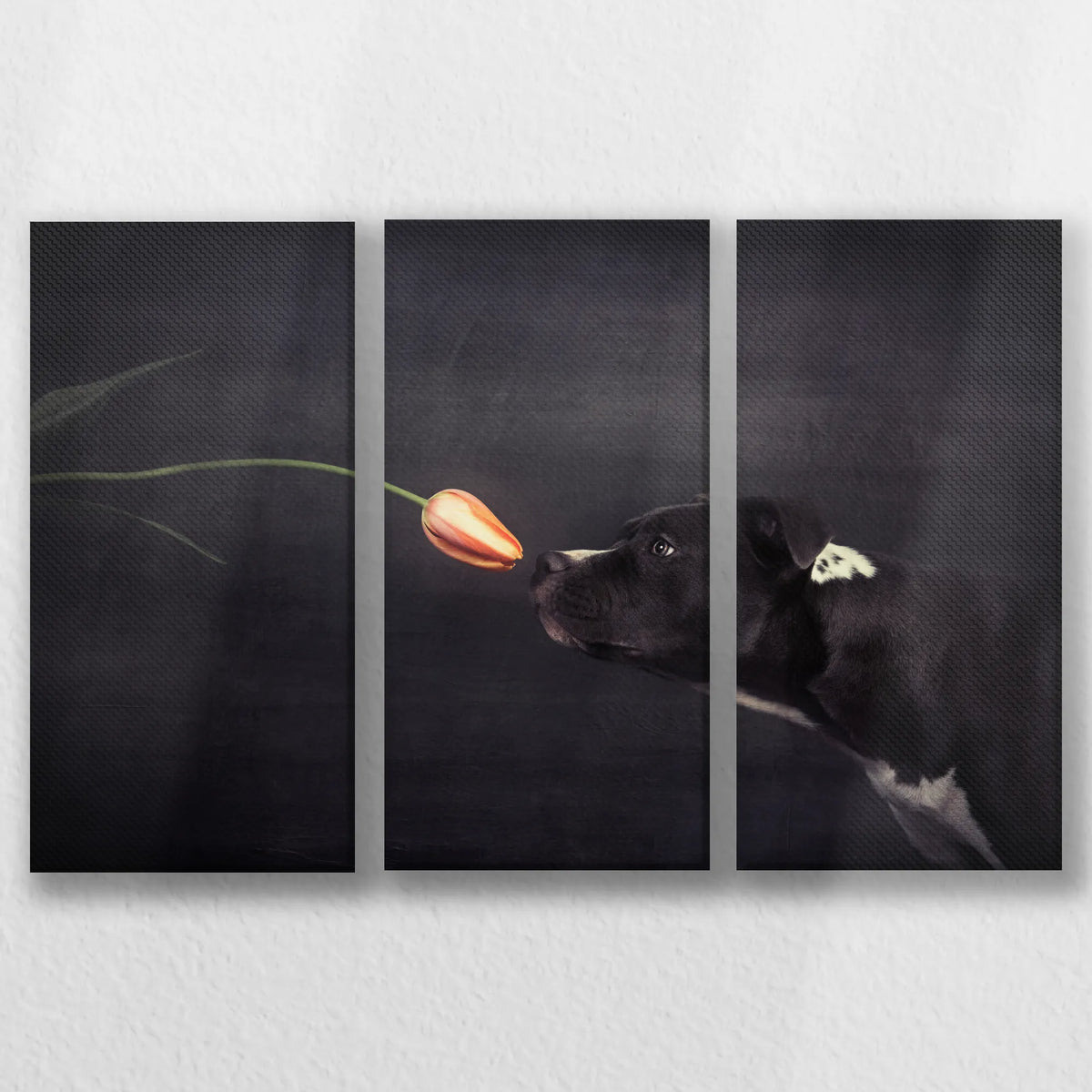 LW-060R040