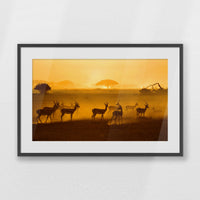 PKP093W062