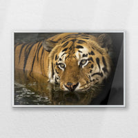 PS-060W040