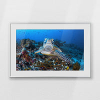 PSP093W062