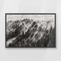PK-093W062