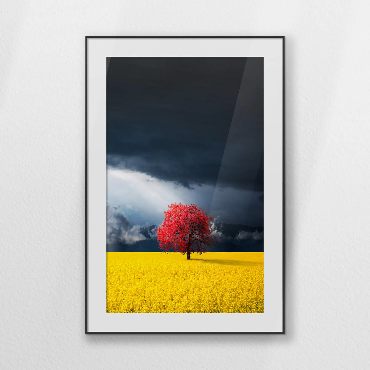 PBP080W120