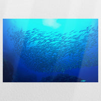 PO-030W020