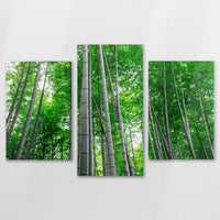 AL-120T080