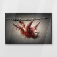 PB-093W062