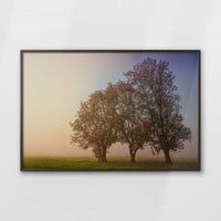 LWN120W080