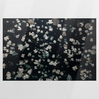 PO-090W060