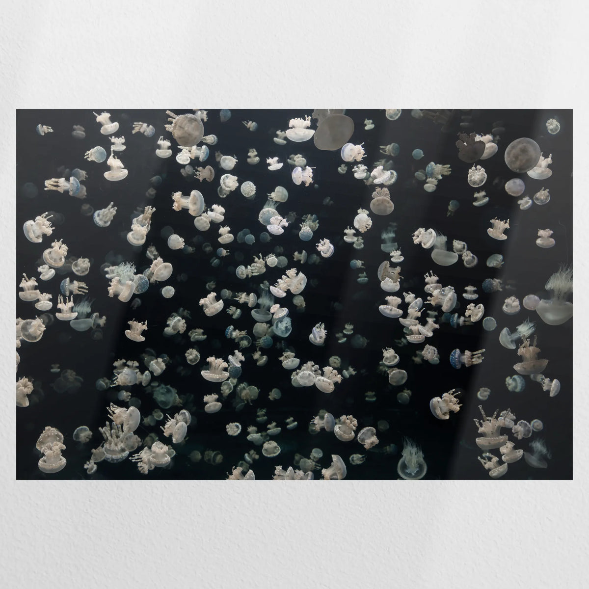 PO-090W060
