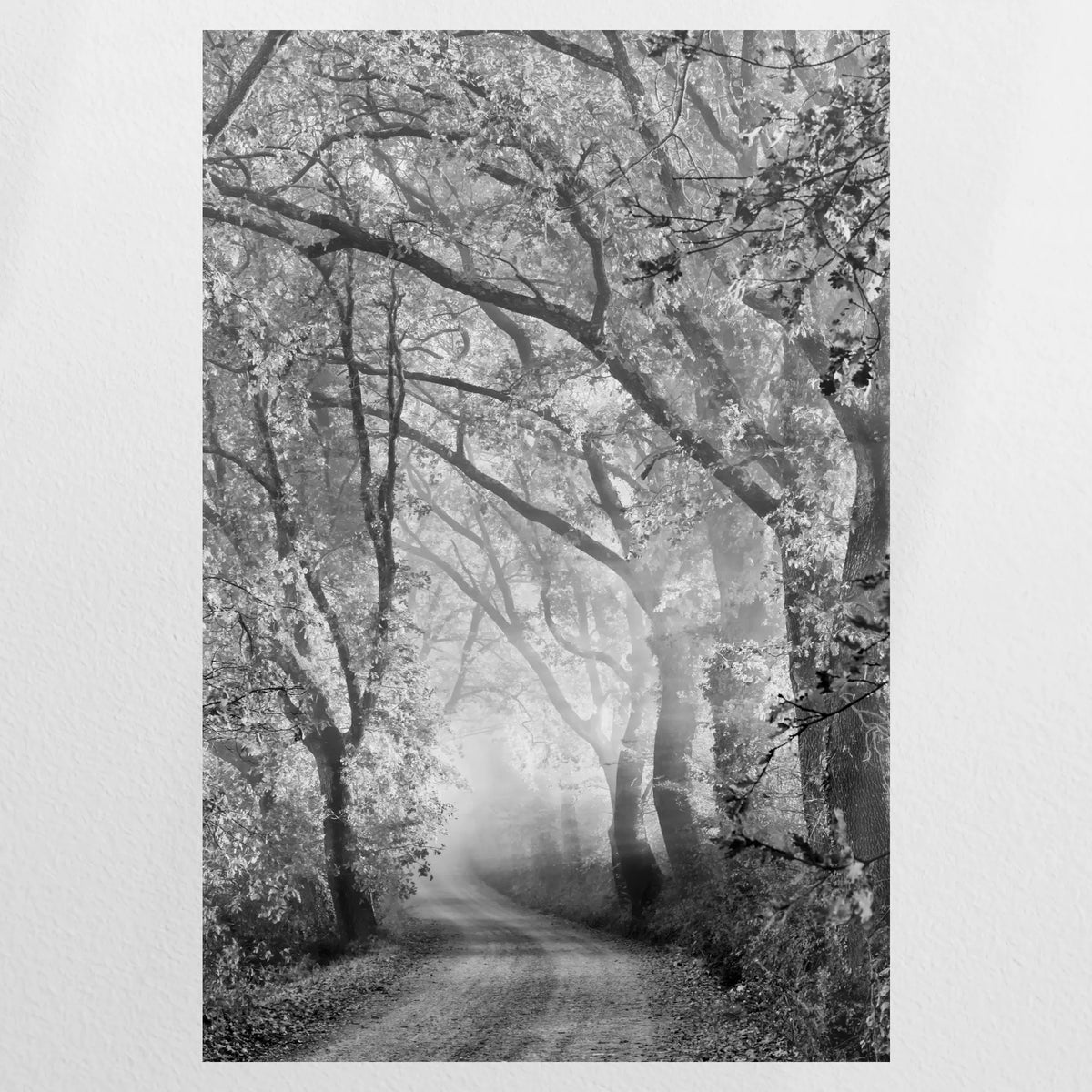 PO-080W120
