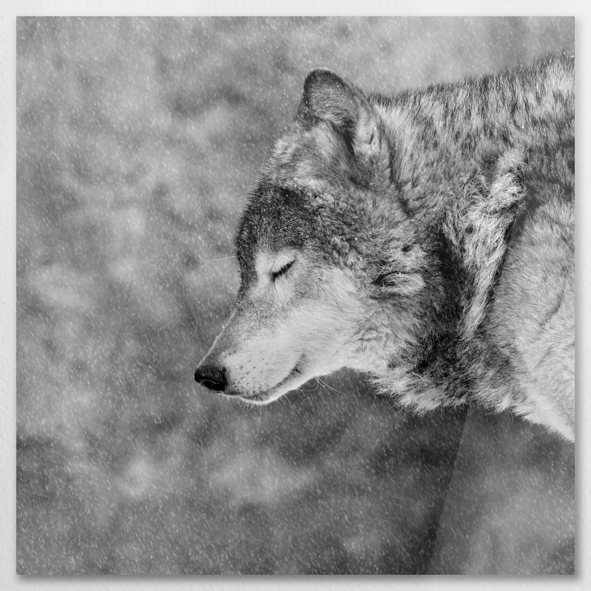 AC-080W080