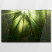 AL-075W050