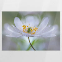 PO-090W060