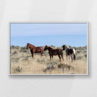 LWW120W080