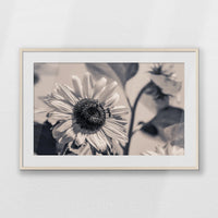 PNP100W070