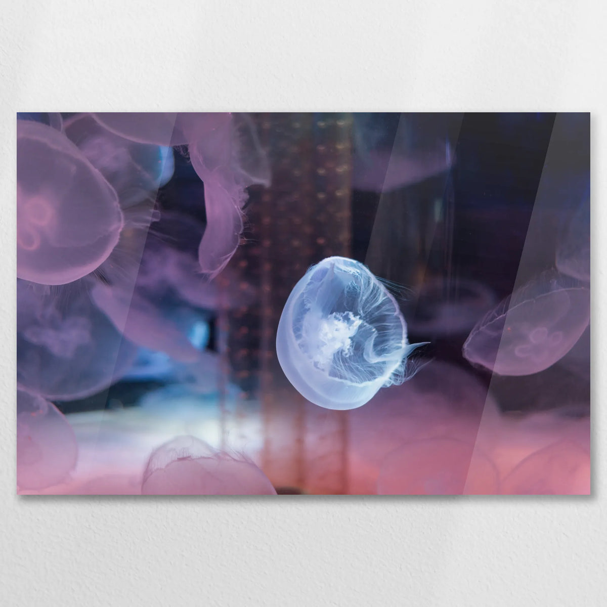 AC-075W050