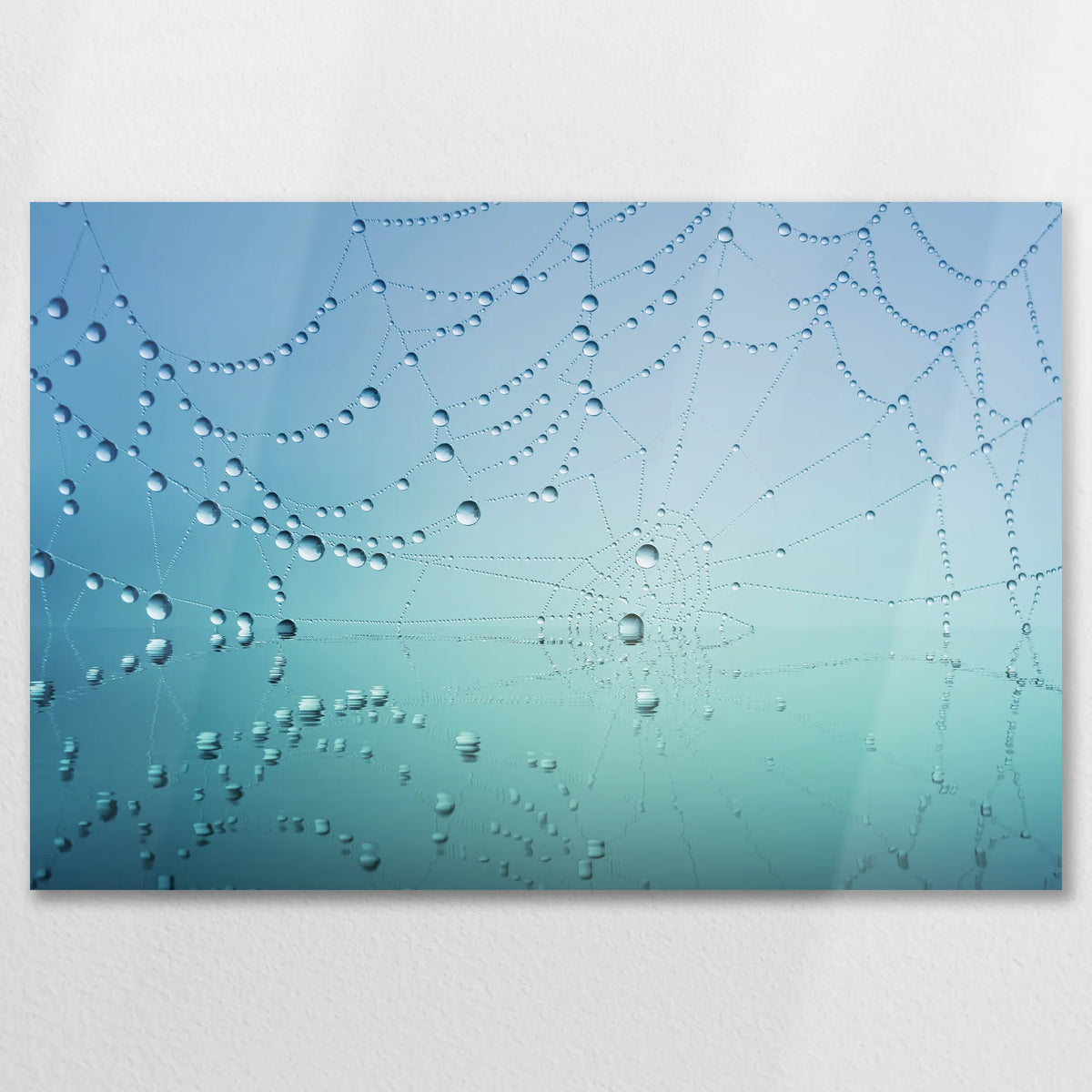 AL-075W050