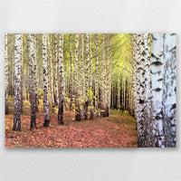 AC-045W030