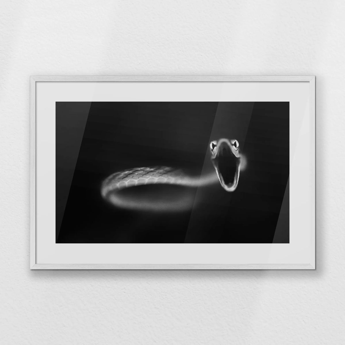 PWP093W062