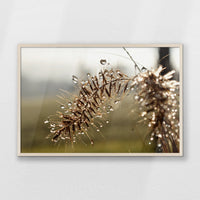 PN-093W062