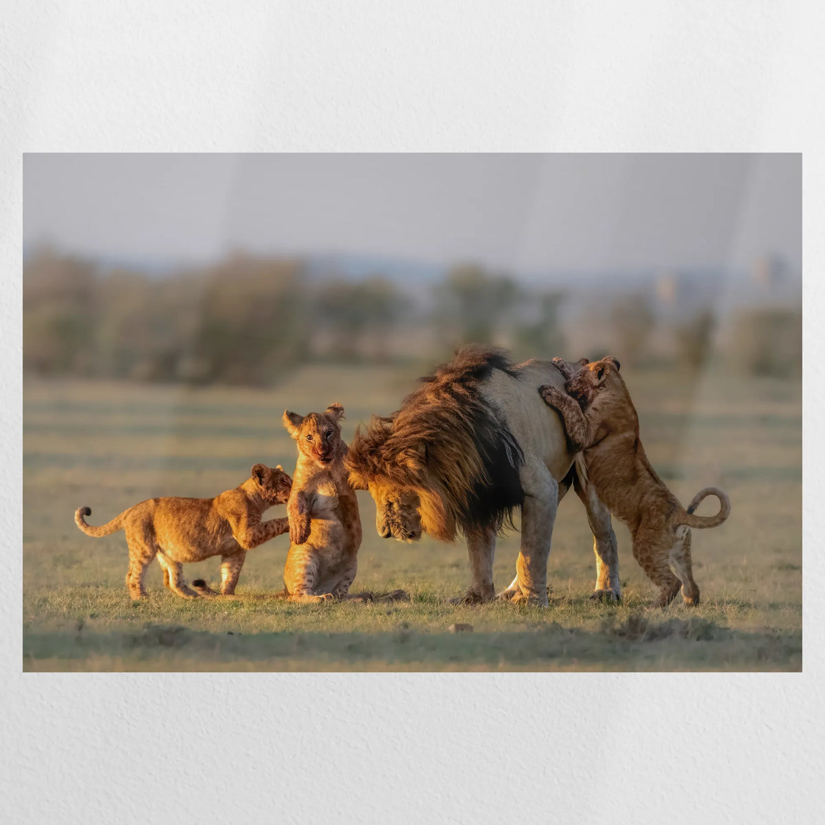 PO-090W060