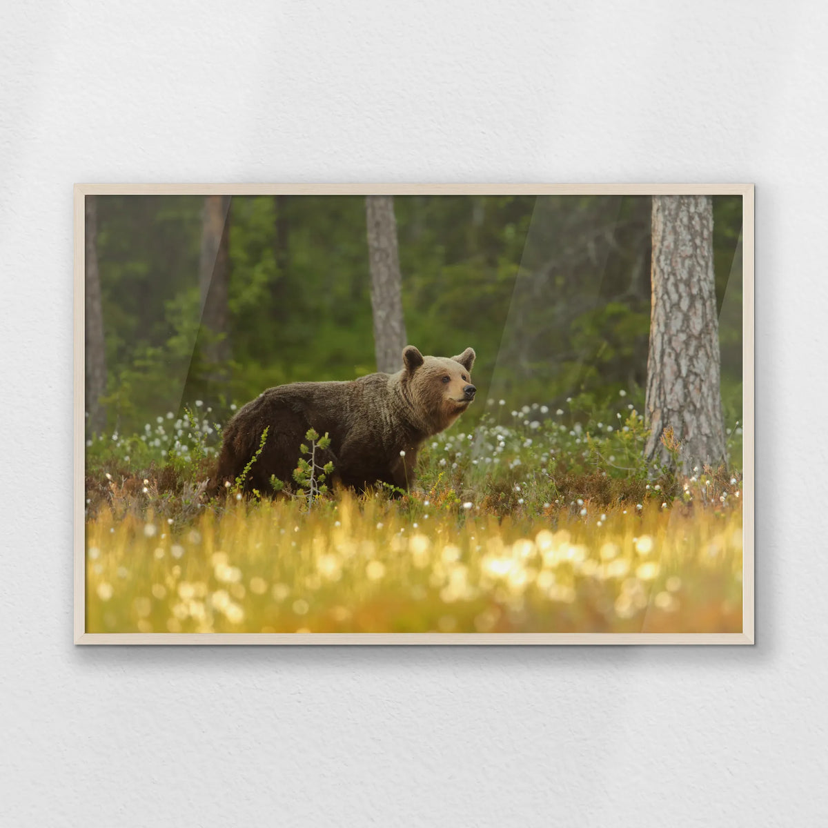 PN-100W070