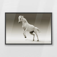 PK-093W062