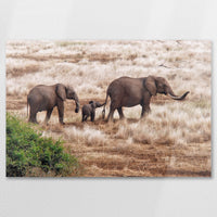 AL-075W050