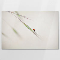 AC-075W050