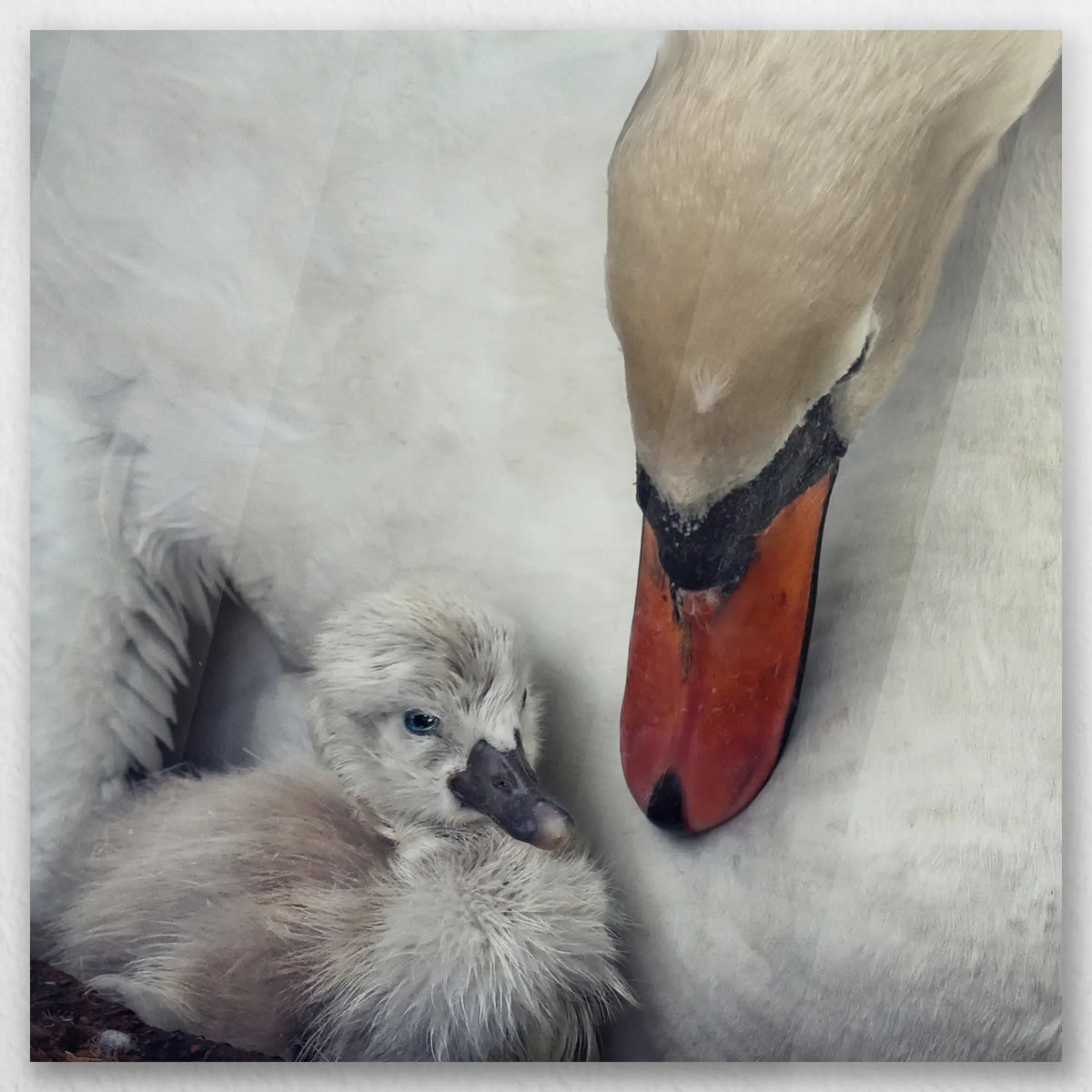AC-060W060