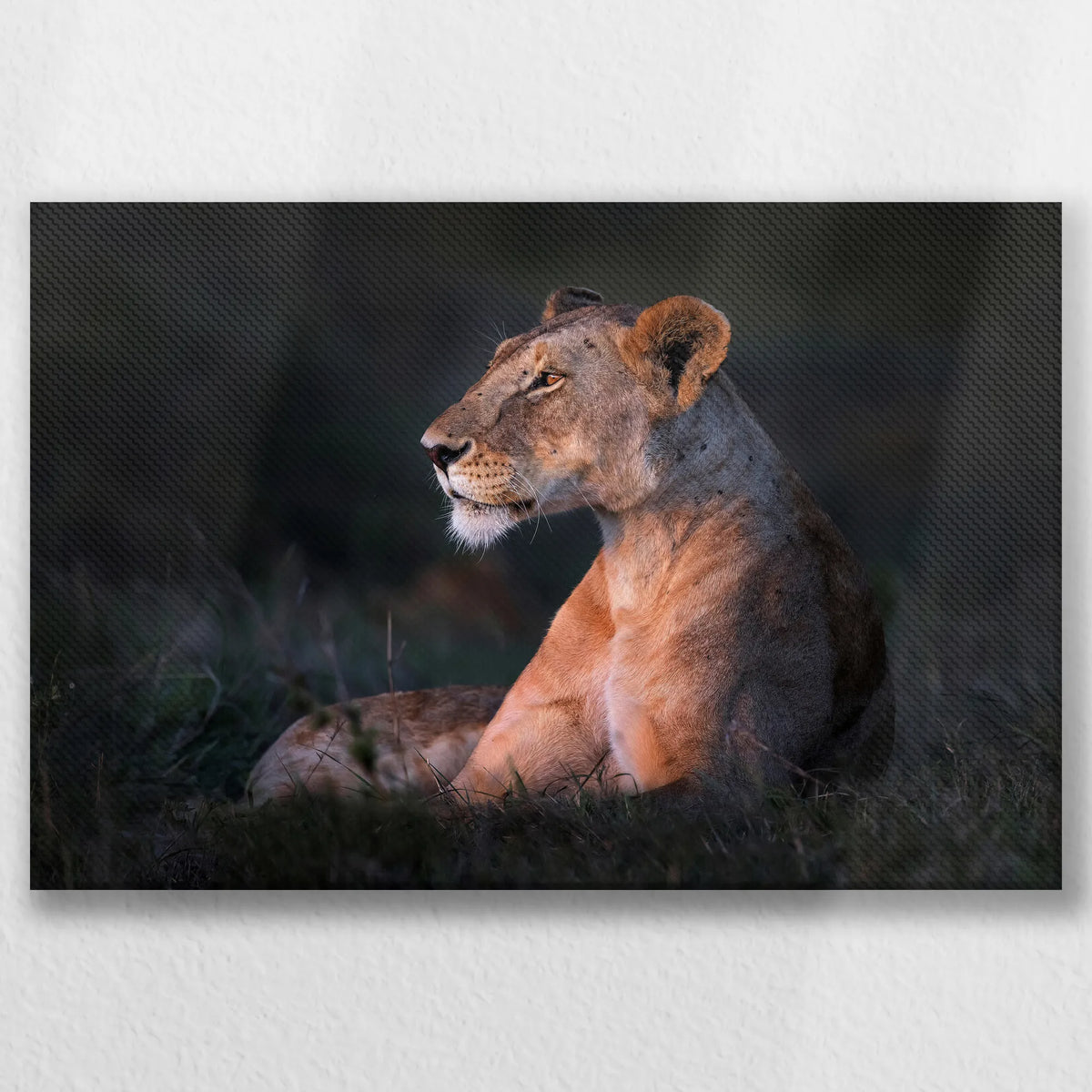 LW-045W030