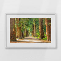 PWP093W062