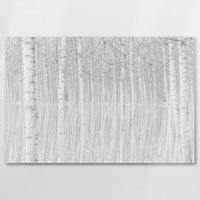 AL-075W050