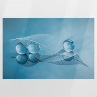 PO-090W060