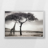 LWW100W070