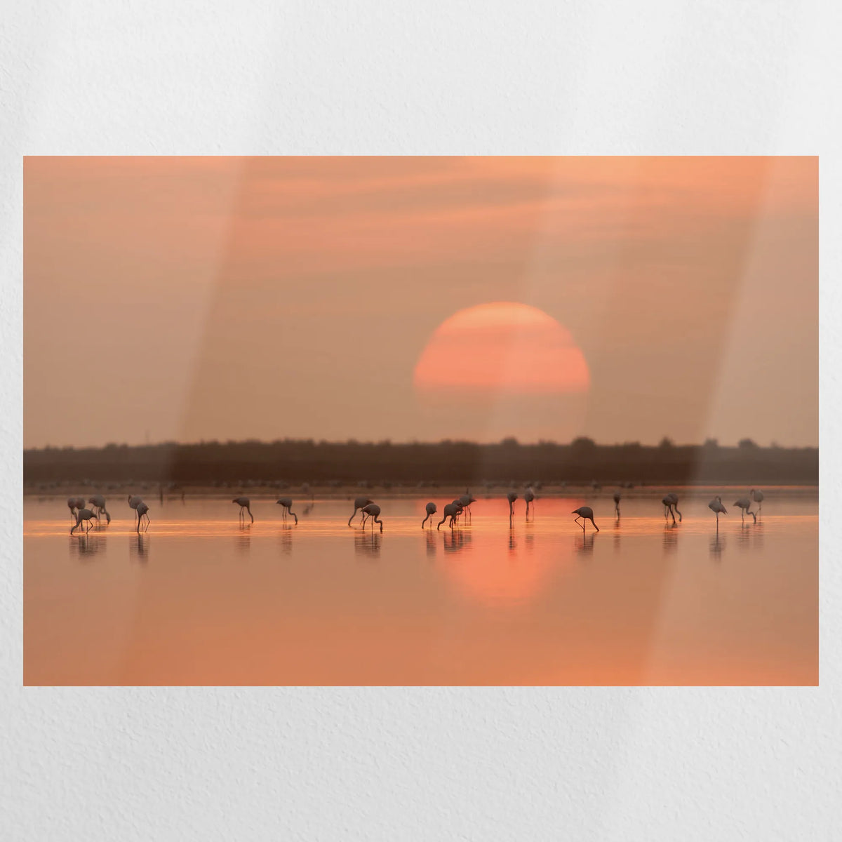 PO-120W080