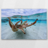 AL-045W030