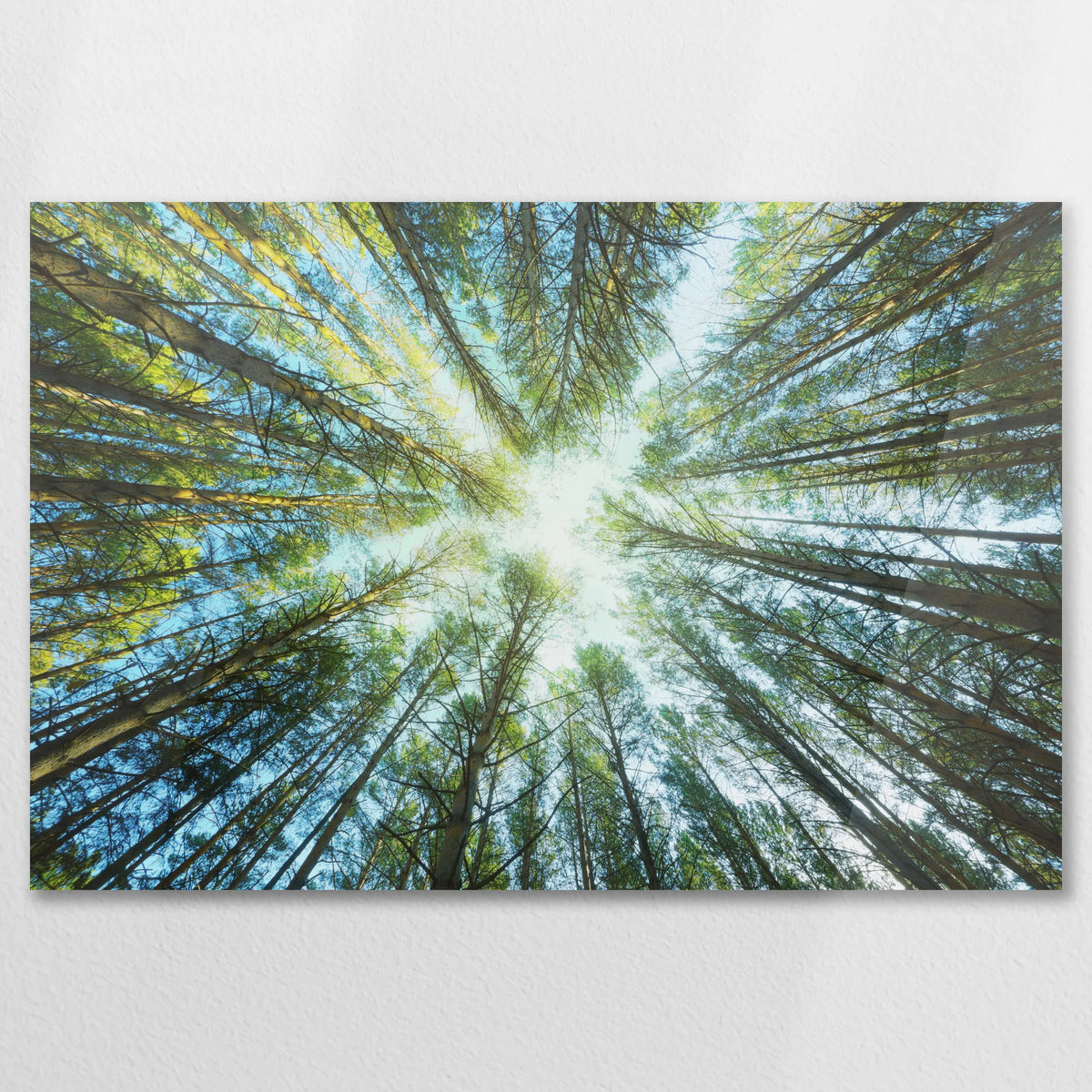 AC-075W050