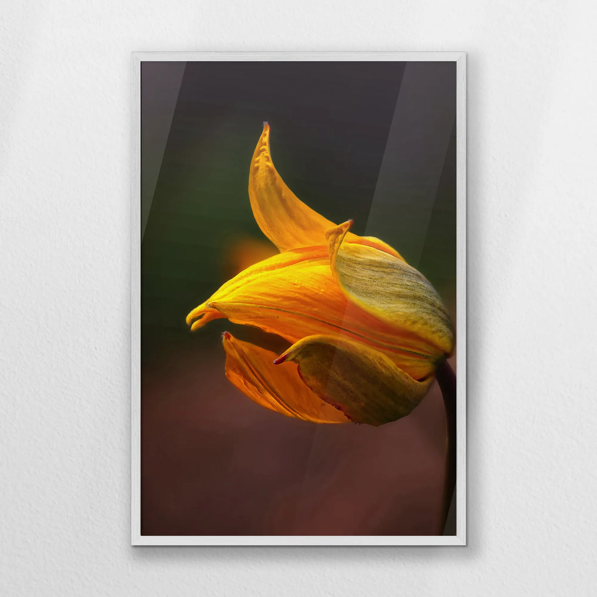 PW-062W093