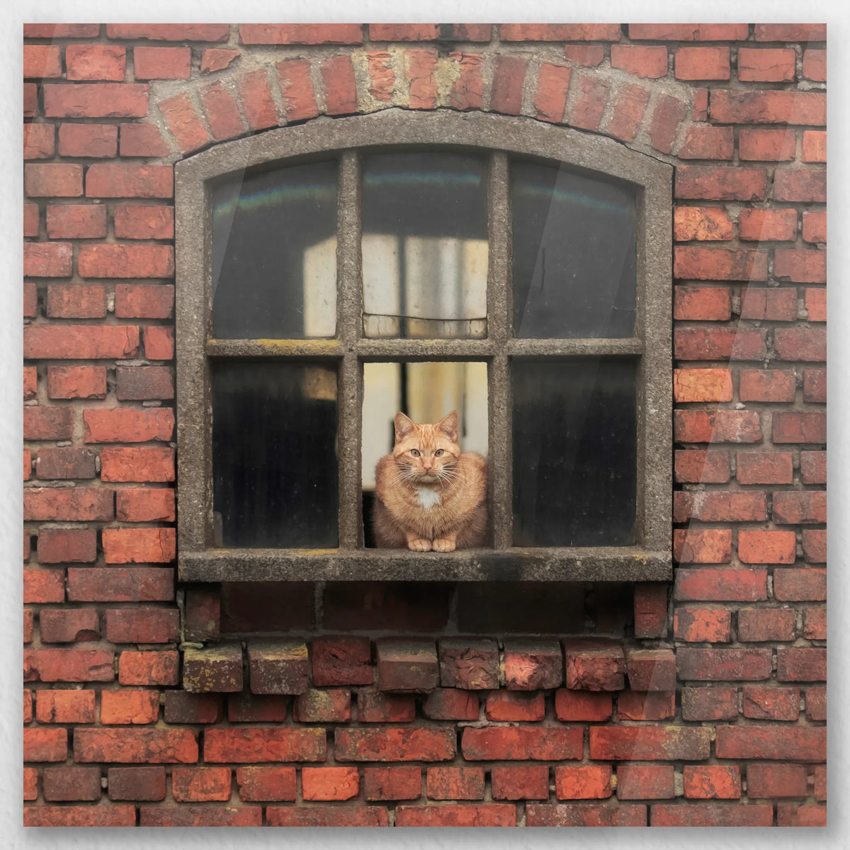 AC-030W030
