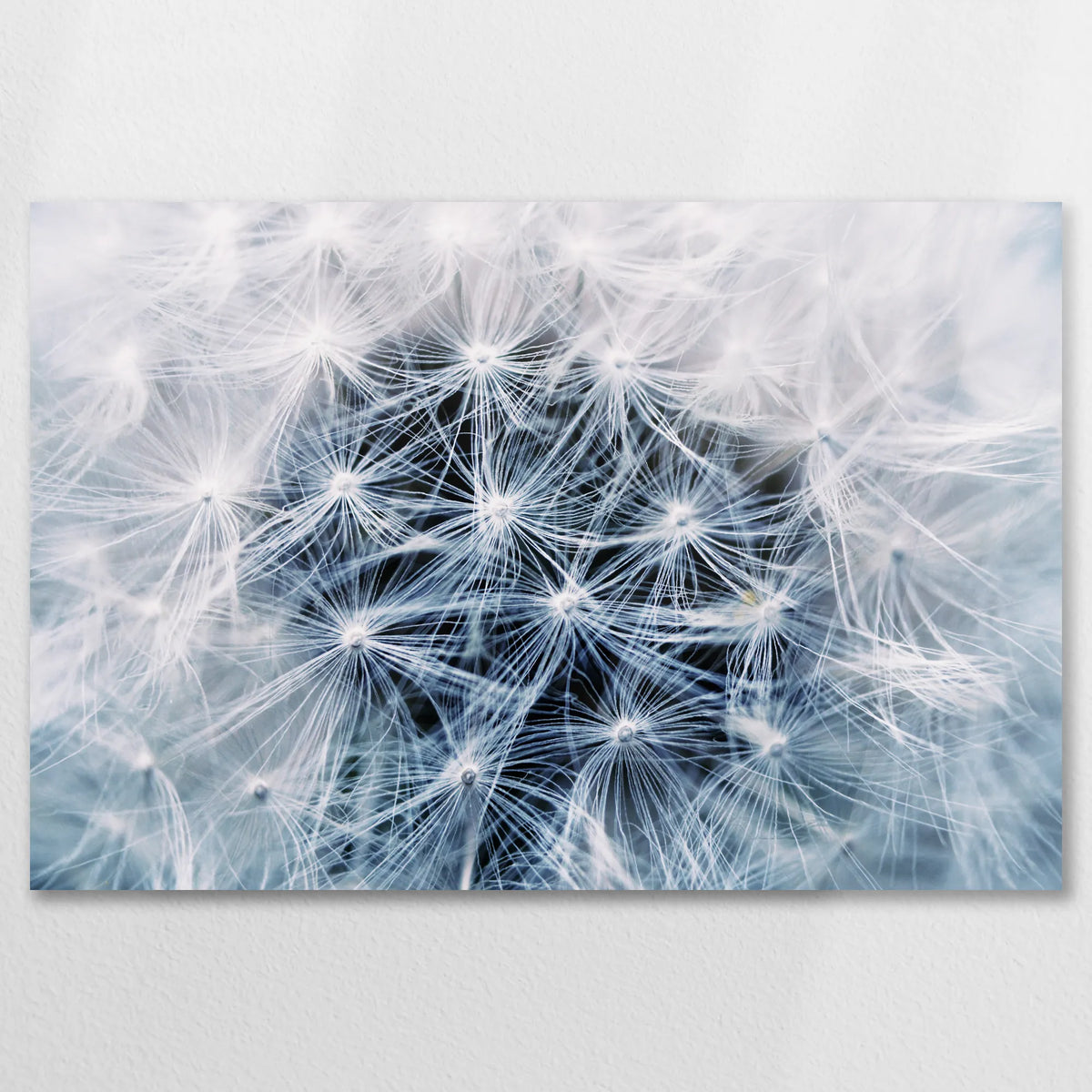 AC-075W050
