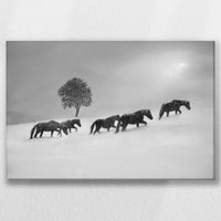 LW-045W030