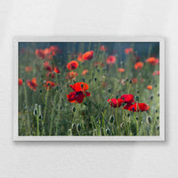 PW-060W040